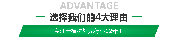 主图