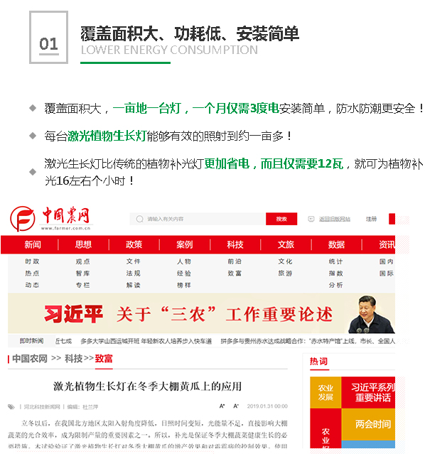 主图