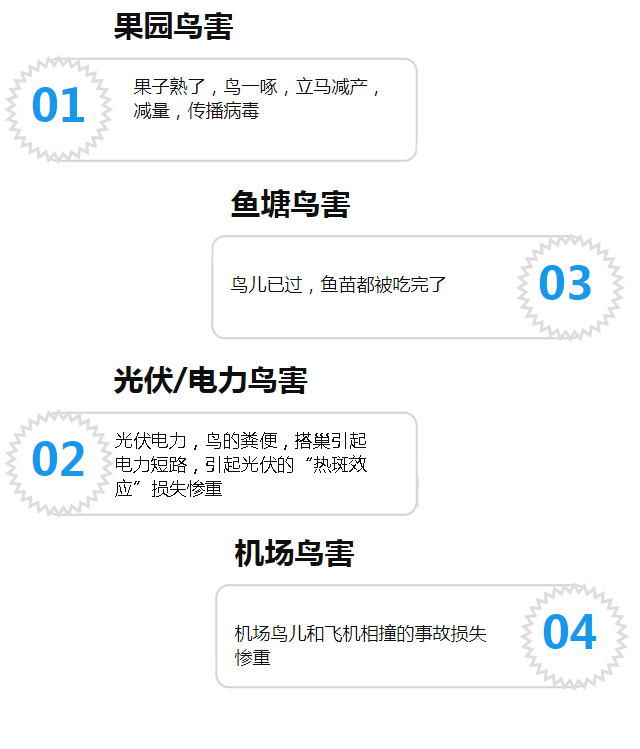 主图
