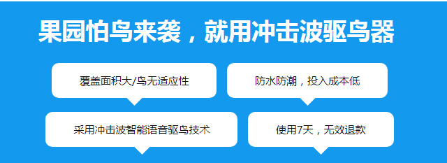 主图