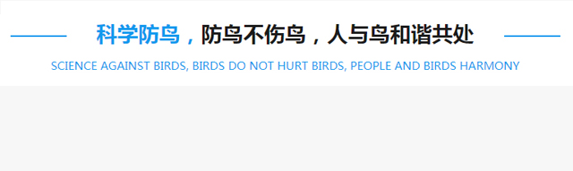 主图