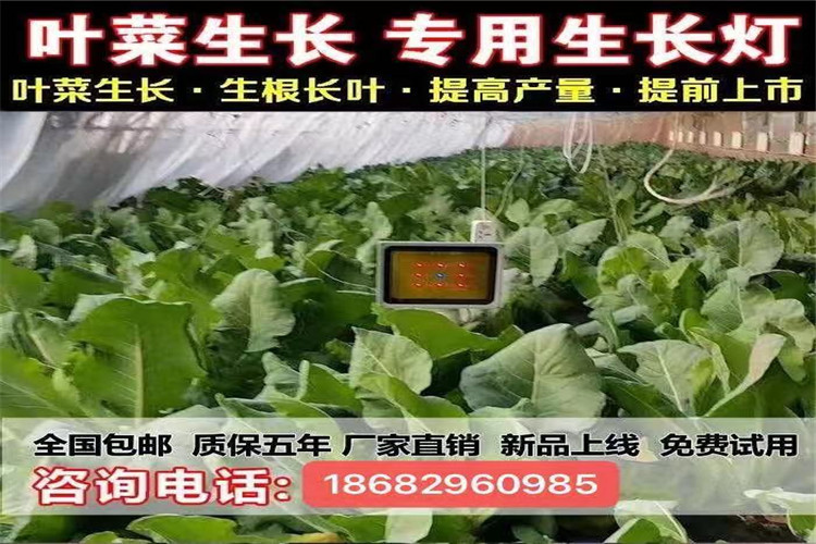 5ffff4ca7039f.jpg 098de6930eaeb99b725571da28f72b8.jpg