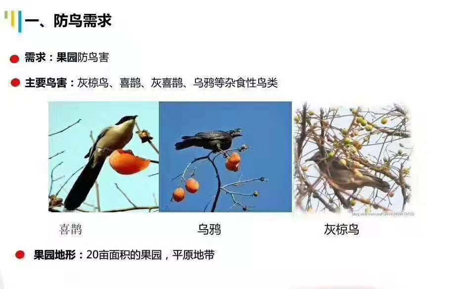 6007a03c896e4.jpg 微信图片_20190222154101.jpg