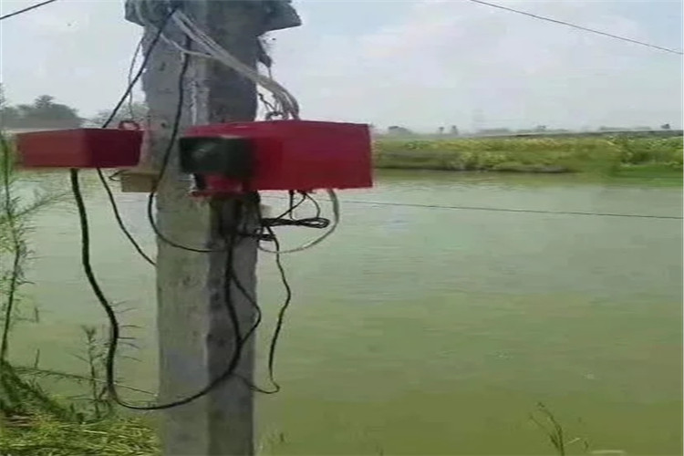 6045bb657c2cb.jpg 2.webp_副本.jpg